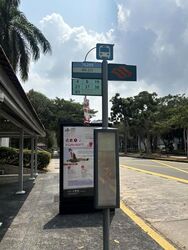 Blk 236 Tampines Street 21 (Tampines), HDB 4 Rooms #628408341